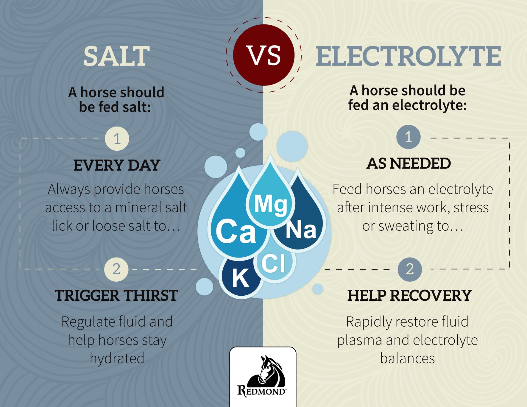 Salt vs. Electrolytes for Horses What’s the Difference?